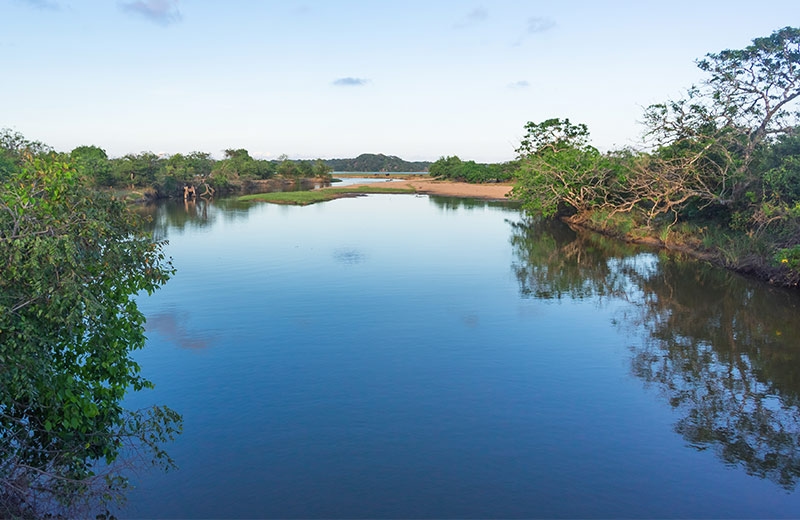 Scenic lagoon safari experience
