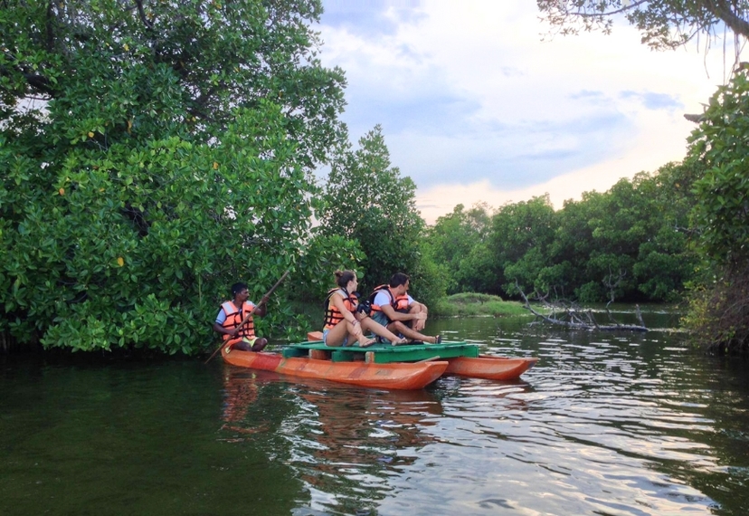 Scenic lagoon tour through mangroves