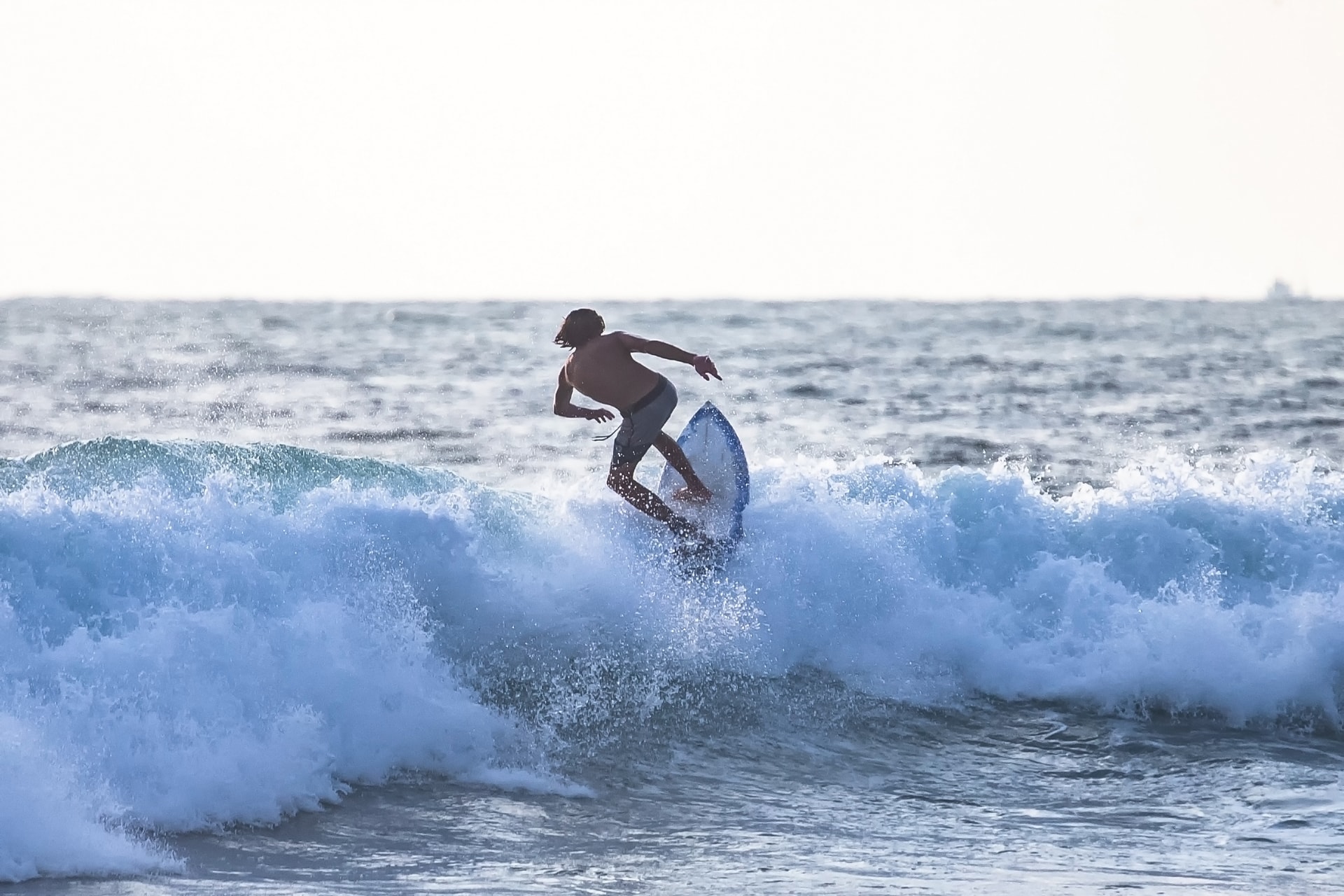 Surfing Paradise