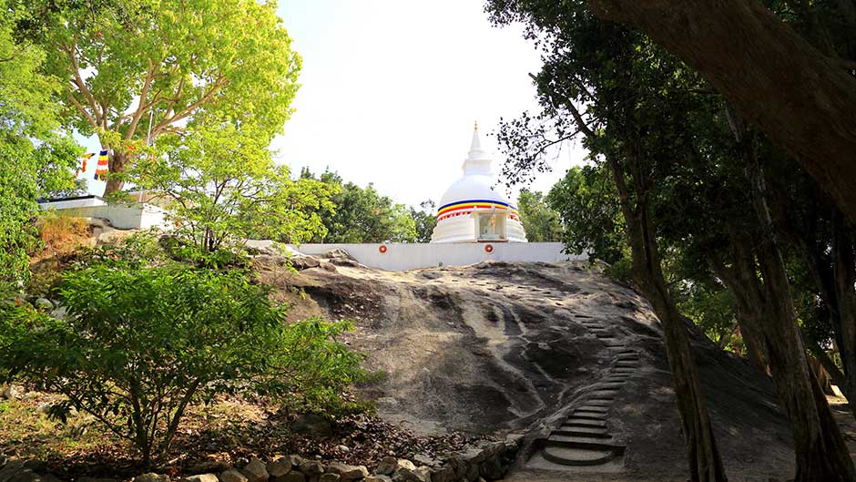 Cultural Excursions